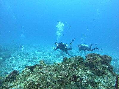 SCUBA Photos